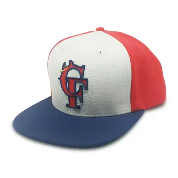 Snapback Hat - Image 2