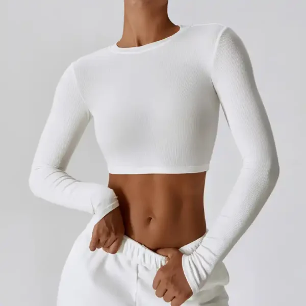 Long Sleeve Crop Top - Image 3